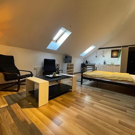Savoya Nr3 Studio Old City Center Self Check-In Timisoara Bagian luar foto