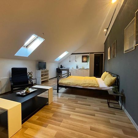 Savoya Nr3 Studio Old City Center Self Check-In Timisoara Bagian luar foto