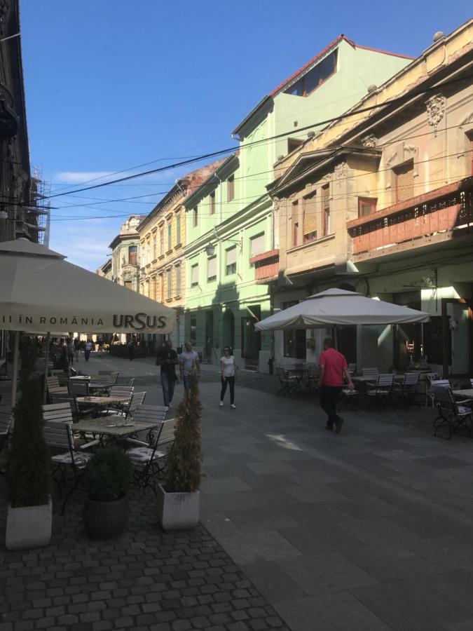 Savoya Nr3 Studio Old City Center Self Check-In Timisoara Bagian luar foto