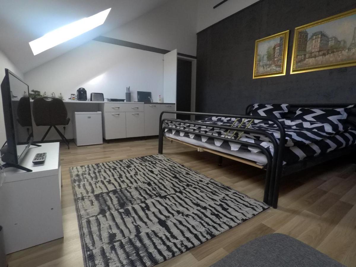 Savoya Nr3 Studio Old City Center Self Check-In Timisoara Bagian luar foto