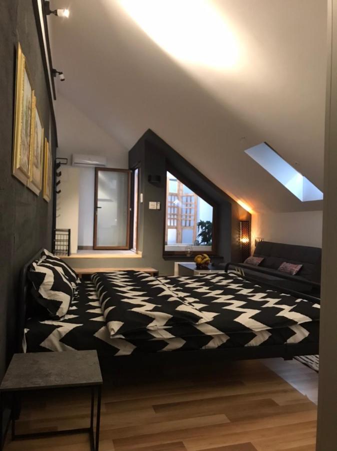 Savoya Nr3 Studio Old City Center Self Check-In Timisoara Bagian luar foto