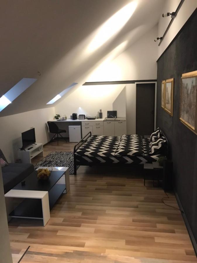 Savoya Nr3 Studio Old City Center Self Check-In Timisoara Bagian luar foto