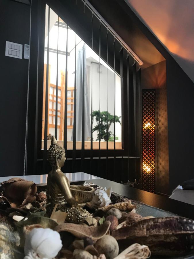 Savoya Nr3 Studio Old City Center Self Check-In Timisoara Bagian luar foto