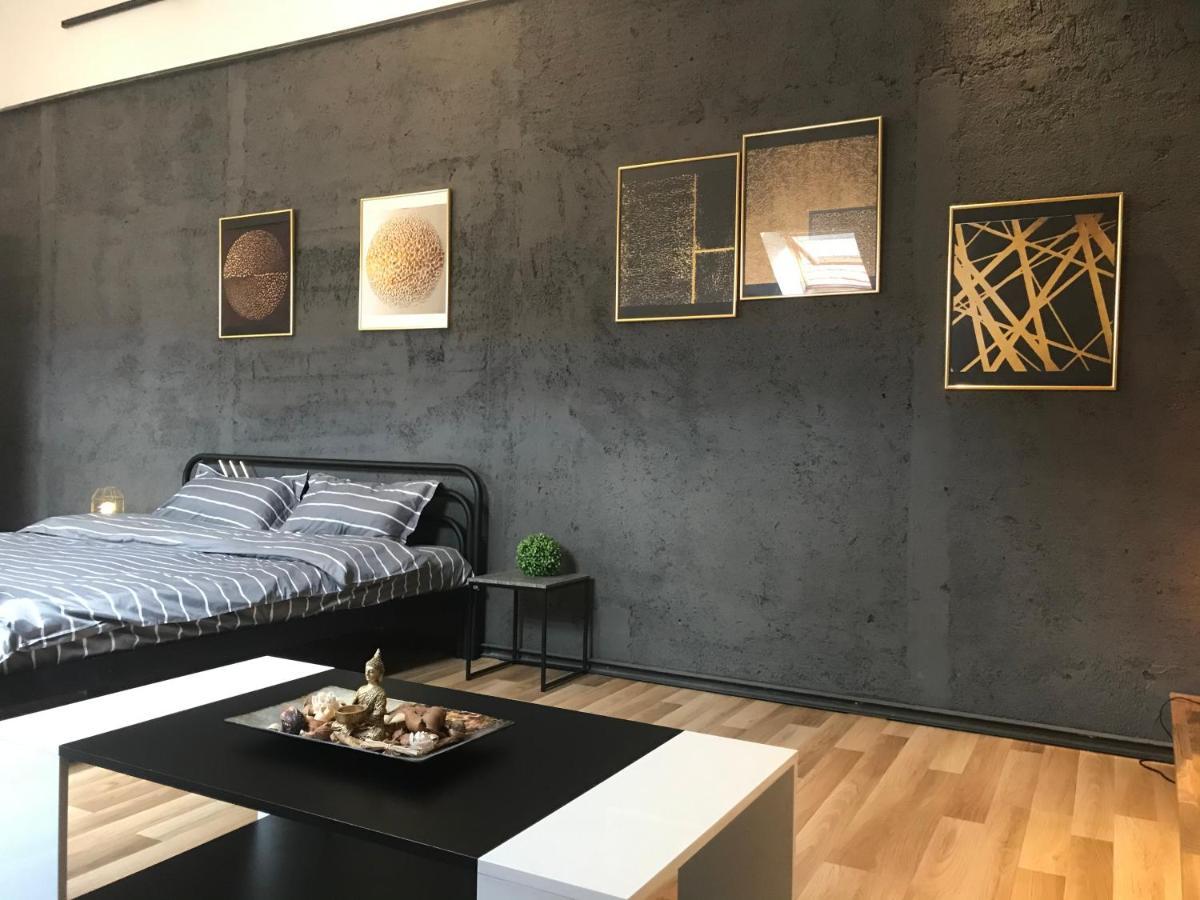 Savoya Nr3 Studio Old City Center Self Check-In Timisoara Bagian luar foto