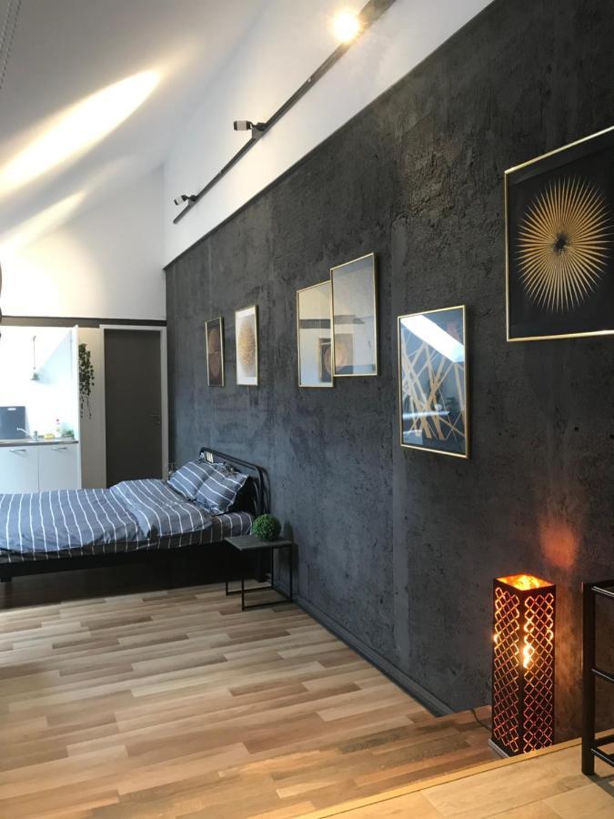 Savoya Nr3 Studio Old City Center Self Check-In Timisoara Bagian luar foto