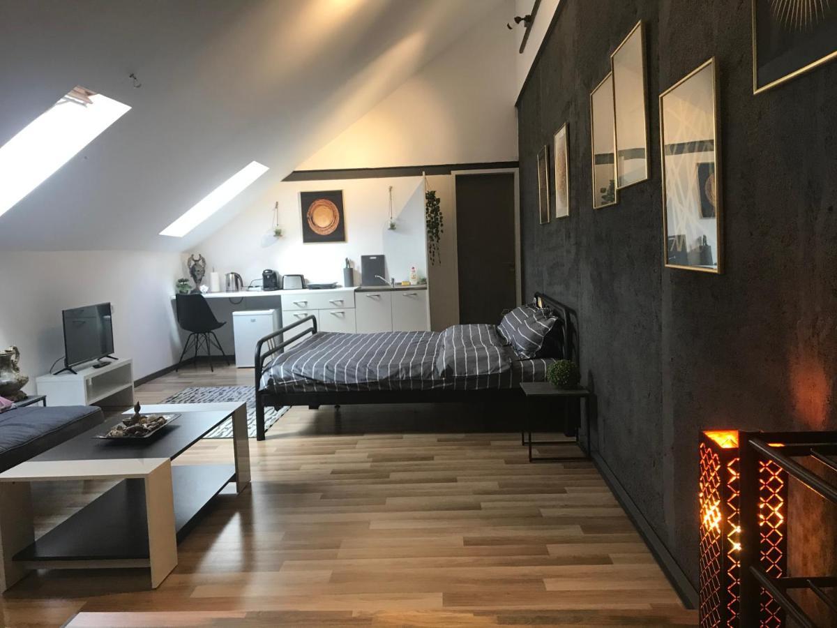 Savoya Nr3 Studio Old City Center Self Check-In Timisoara Bagian luar foto