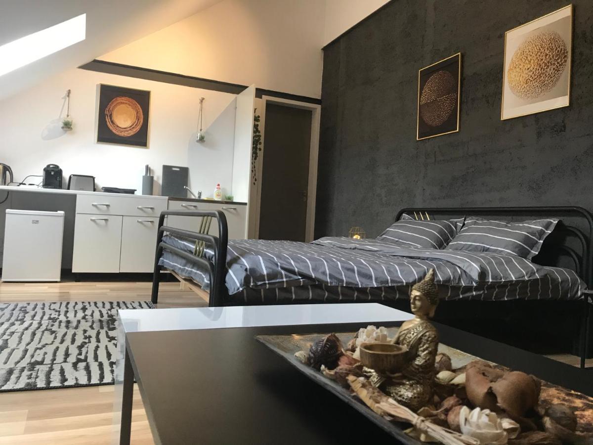 Savoya Nr3 Studio Old City Center Self Check-In Timisoara Bagian luar foto