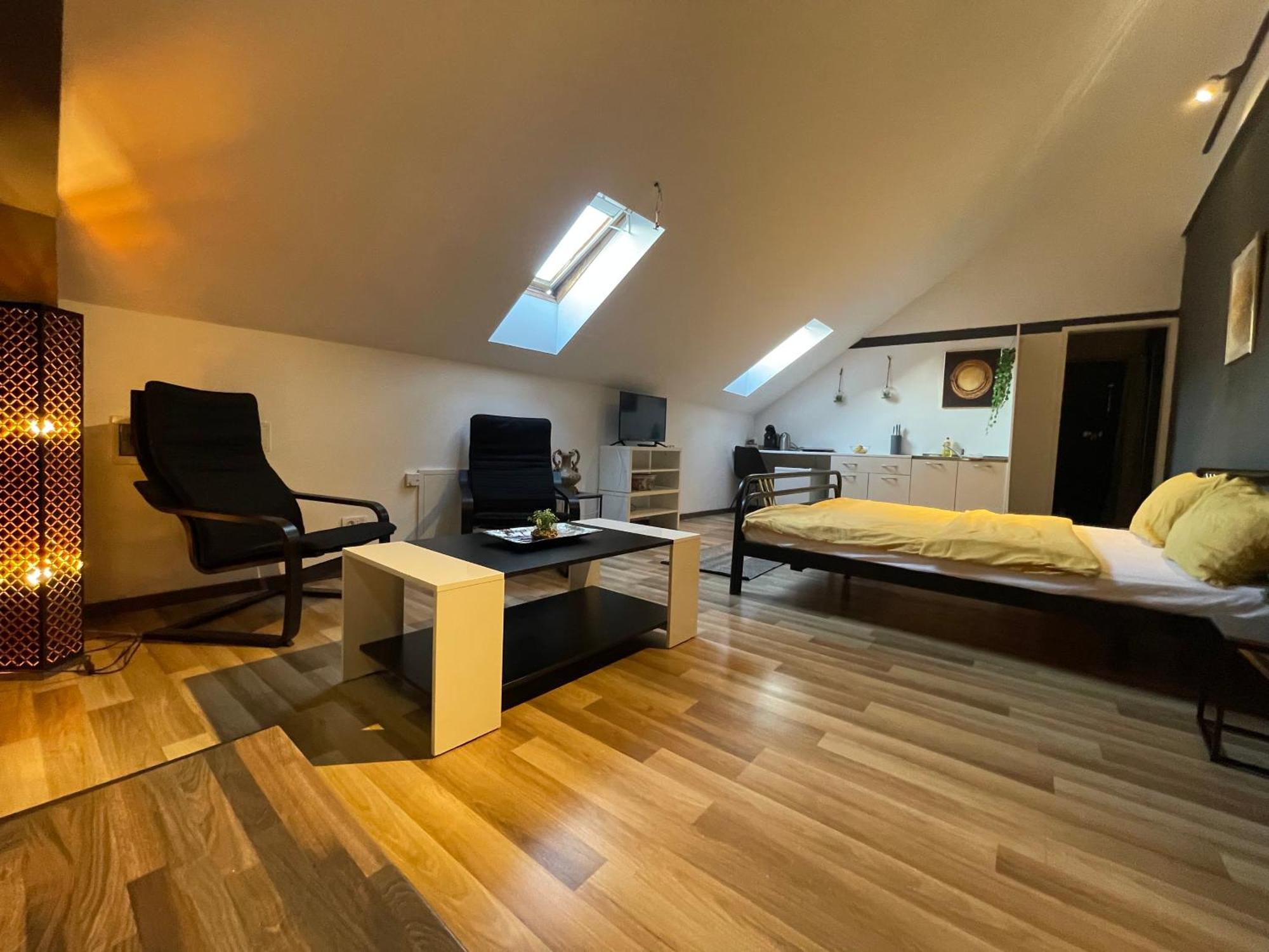 Savoya Nr3 Studio Old City Center Self Check-In Timisoara Bagian luar foto