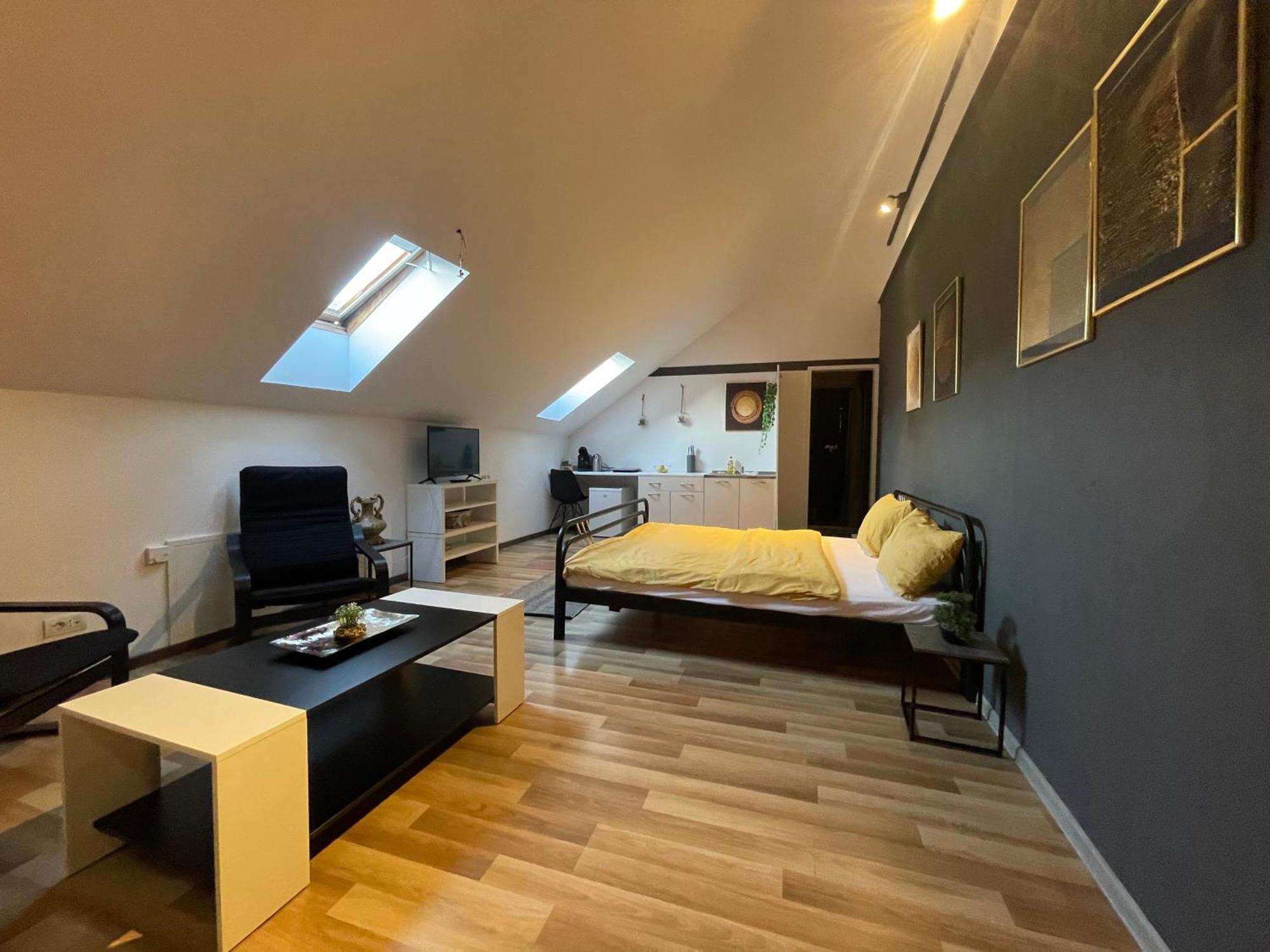 Savoya Nr3 Studio Old City Center Self Check-In Timisoara Bagian luar foto