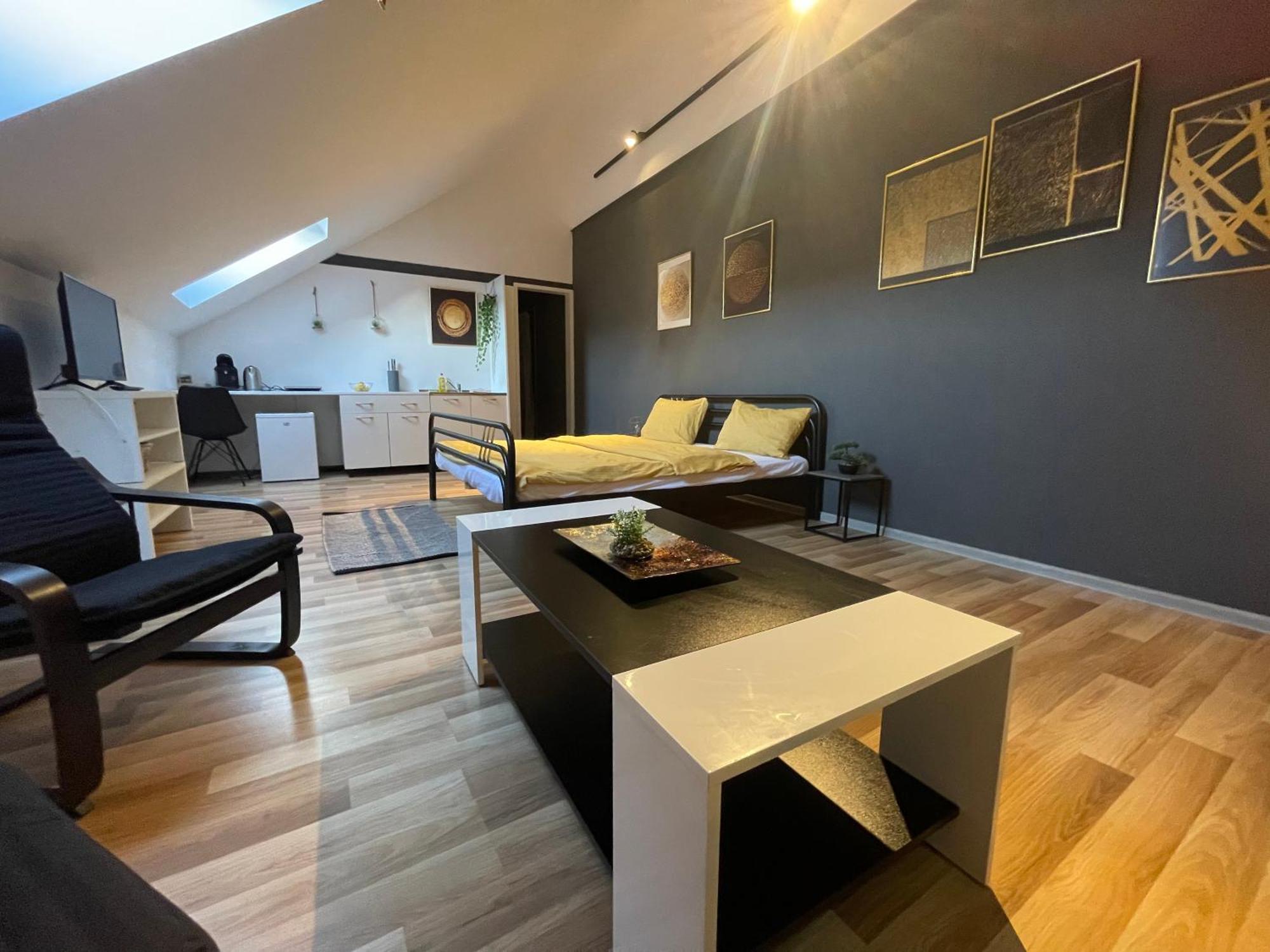 Savoya Nr3 Studio Old City Center Self Check-In Timisoara Bagian luar foto