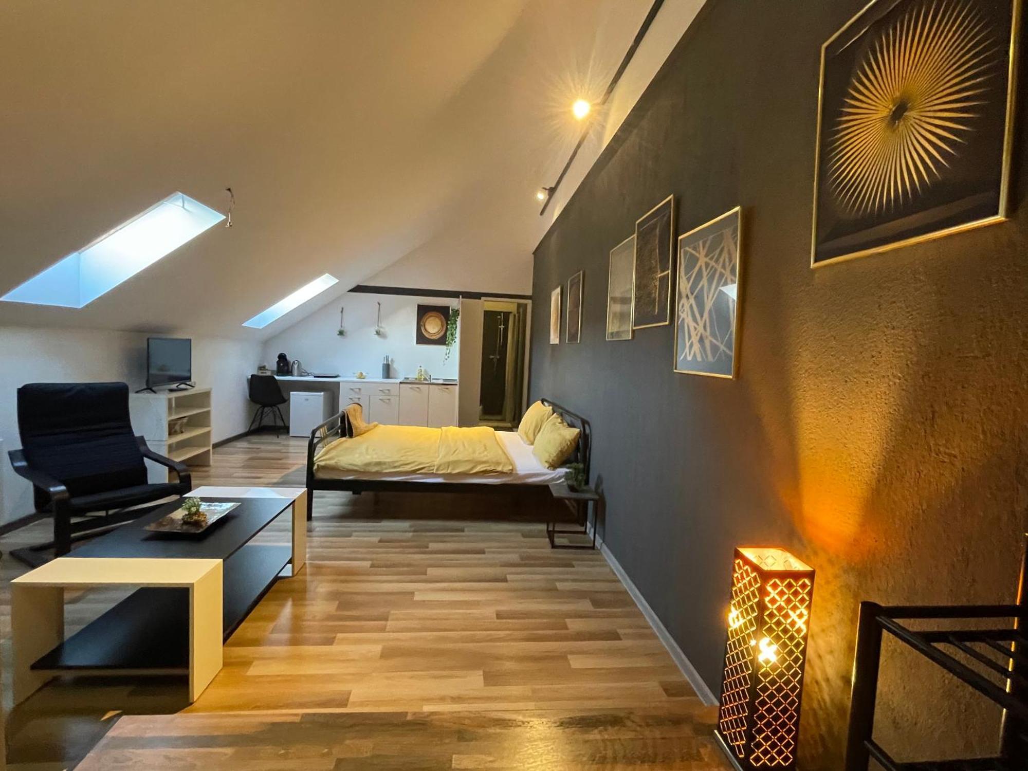 Savoya Nr3 Studio Old City Center Self Check-In Timisoara Bagian luar foto